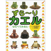 ずらーりカエル　ならべてみると…