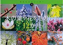 木の葉や花をたのしむ１２か月