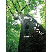 森のふしぎをさがしに