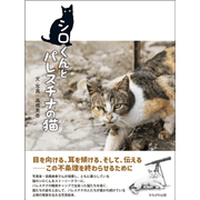 シロくんとパレスチナの猫