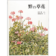 野の草花