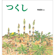 つくし