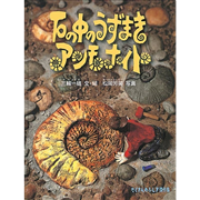 石の中のうずまきアンモナイト
