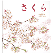 さくら