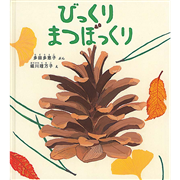 びっくりまつぼっくり