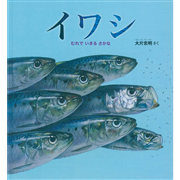イワシ　むれで いきる さかな
