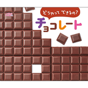 どうやってできるの？　チョコレート