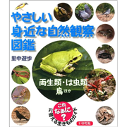 やさしい身近な自然観察図鑑　両生類・は虫類・鳥ほか