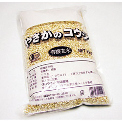 【期間限定：1/19初入荷～3/2最終締切】やさかの有機玄米こうじ1kg