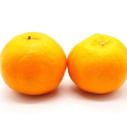 有機ポンカン　1kg