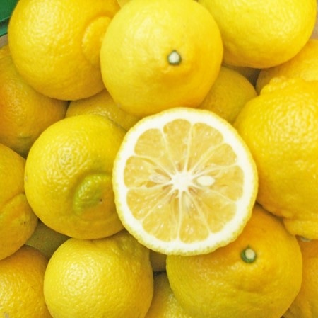 有機はるか　1kg