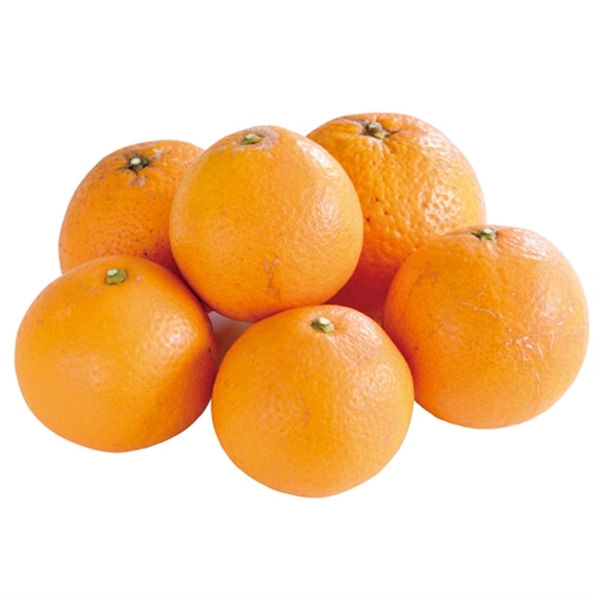 有機清見オレンジ　1kg