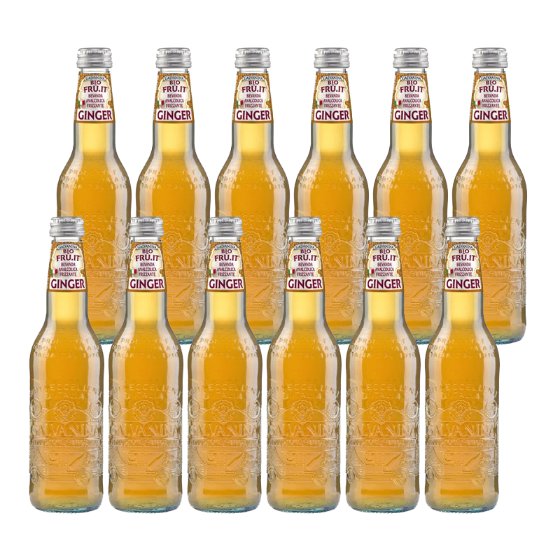 GALVANINA 有機イタリアンジンジャー 355ml＜1箱12本入り＞