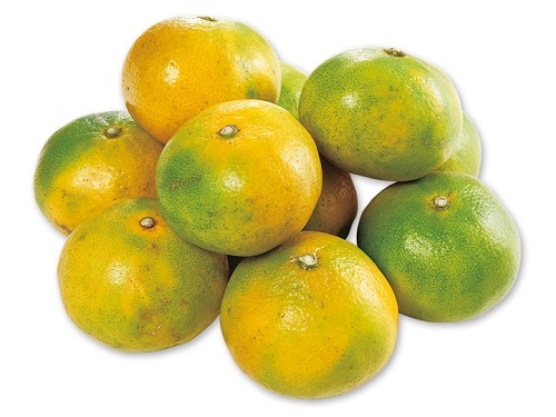 有機みかん 1kg