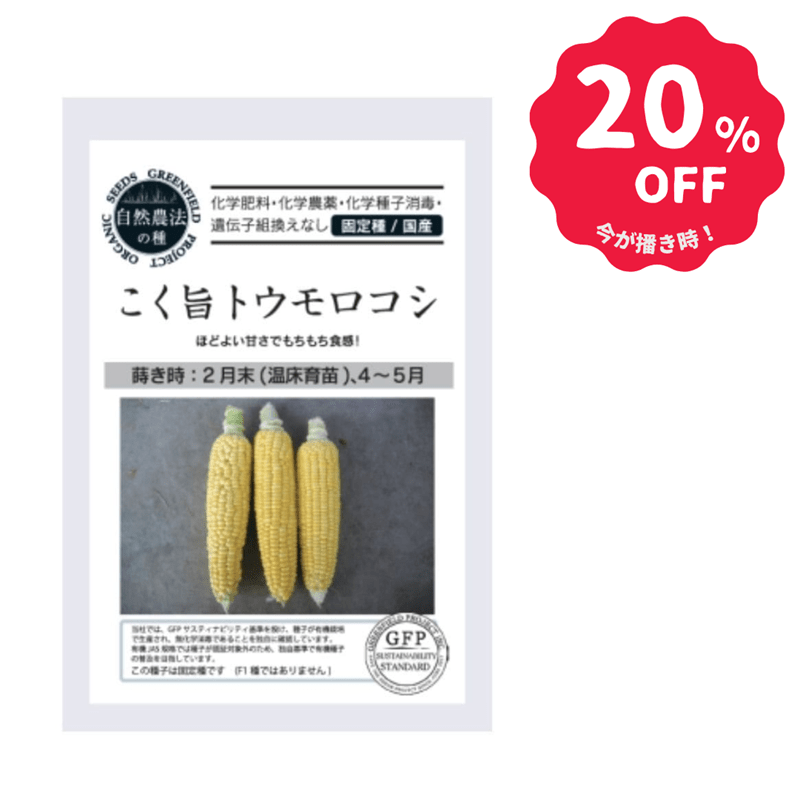 【アウトレット】こく旨トウモロコシ【自然農法の種・固定種・国産】