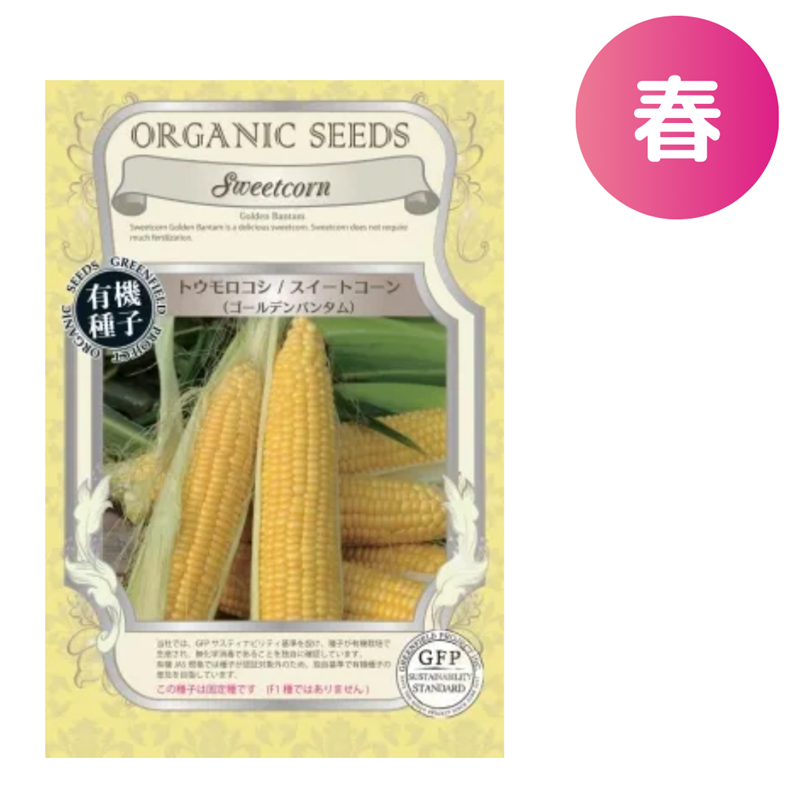 トウモロコシ /とうもろこし スイートコーン（ゴールデンバンタム）【有機種子・固定種】