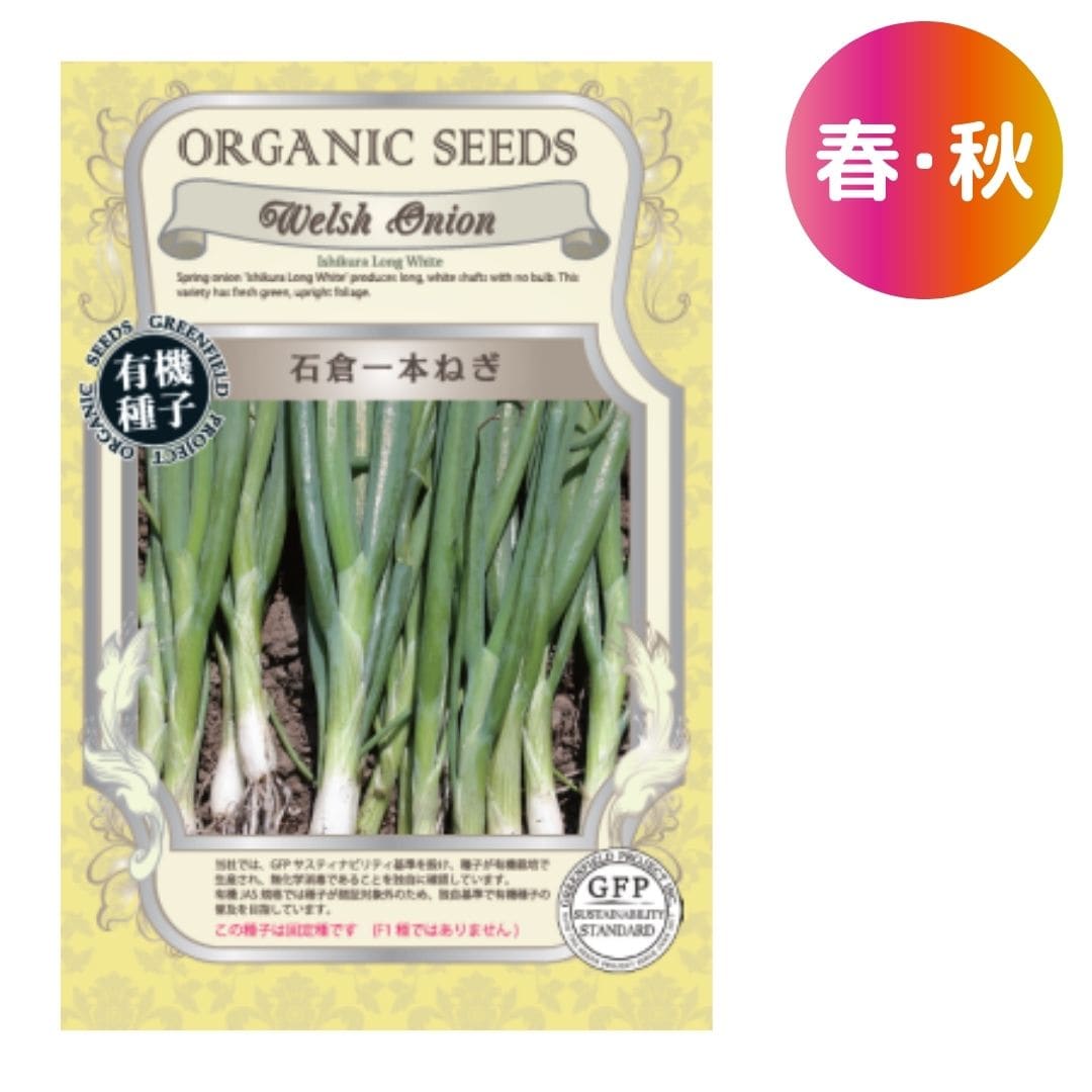 石倉一本ねぎ【有機種子・固定種】