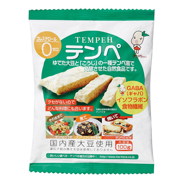 マルシン食品 テンペ 100g