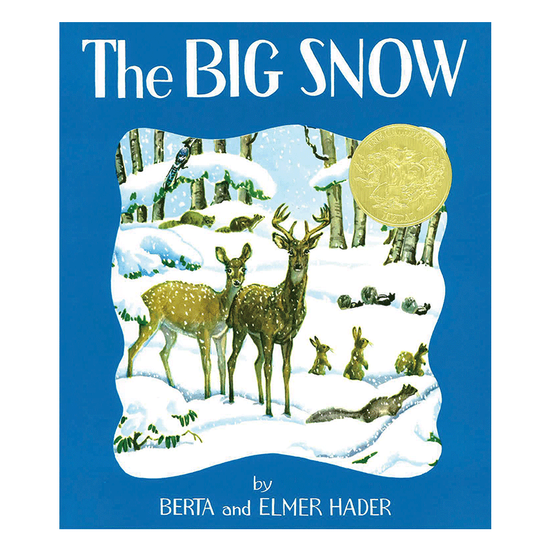 The BIG SNOW