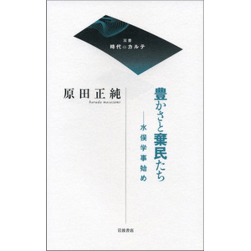 豊かさと棄民たち　水俣学事始め