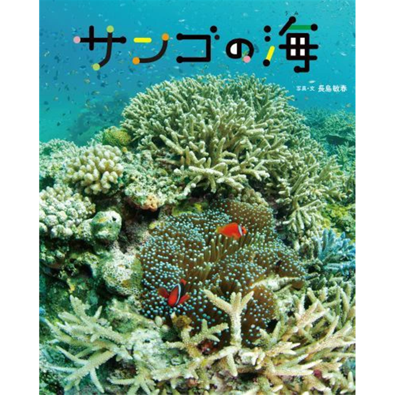 サンゴの海