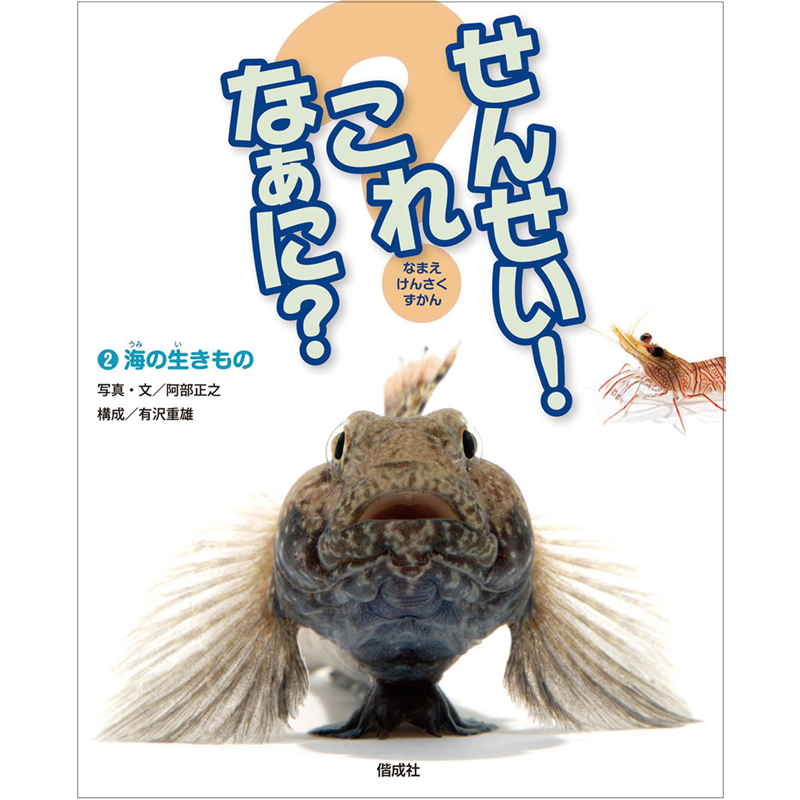 せんせい！　これなあに？　海の生きもの