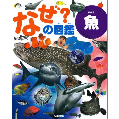 なぜ？の図鑑　魚