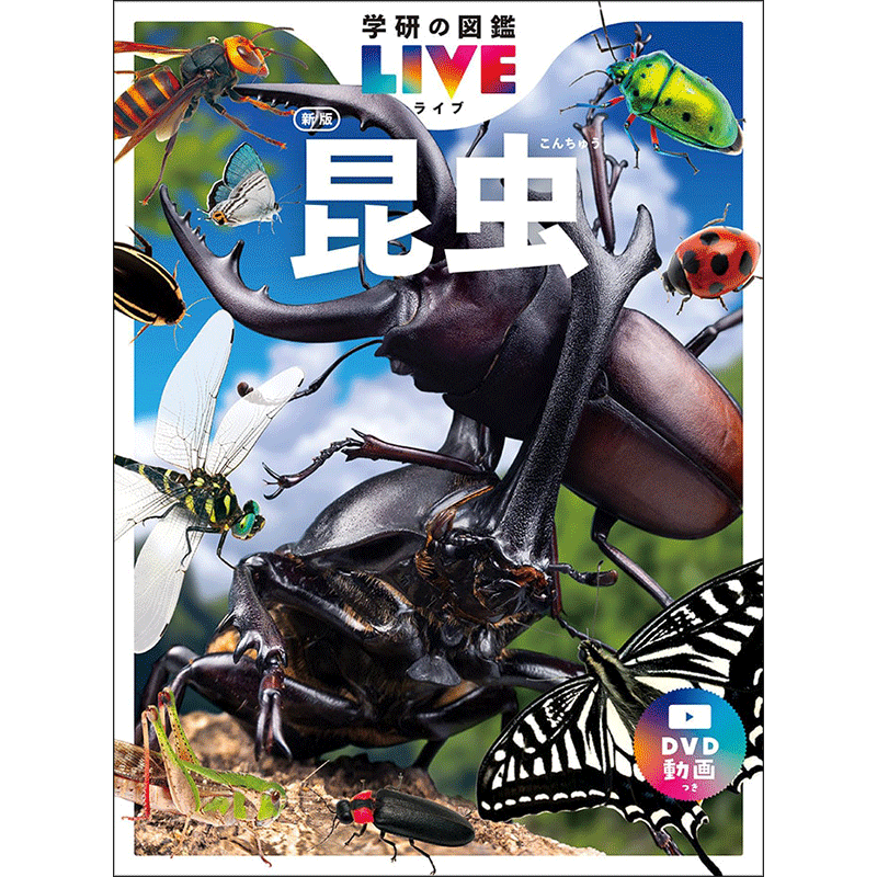 学研の図鑑LIVE（ライブ）昆虫 新版 DVDつき