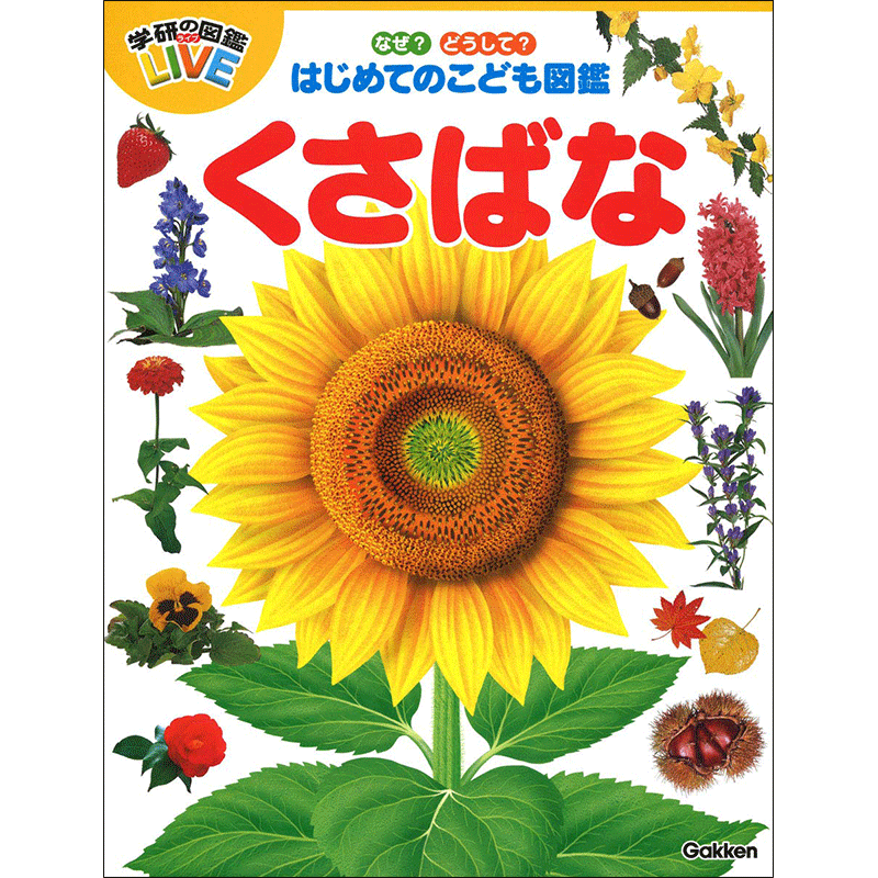 商品検索 並び順 発売日 クレヨンハウス