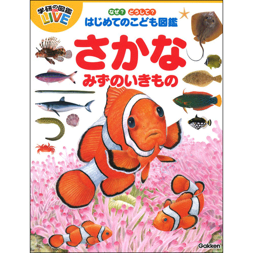 学研の図鑑live ライブ 絵本 児童書の通販 クレヨンハウス