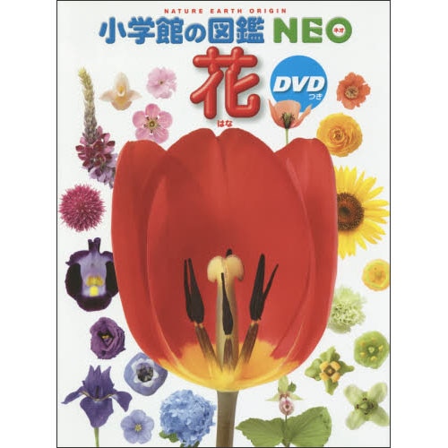 小学館の図鑑NEO 花 ＤＶＤつき