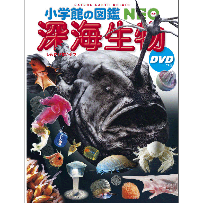 小学館の図鑑NEO 深海生物 ＤＶＤつき