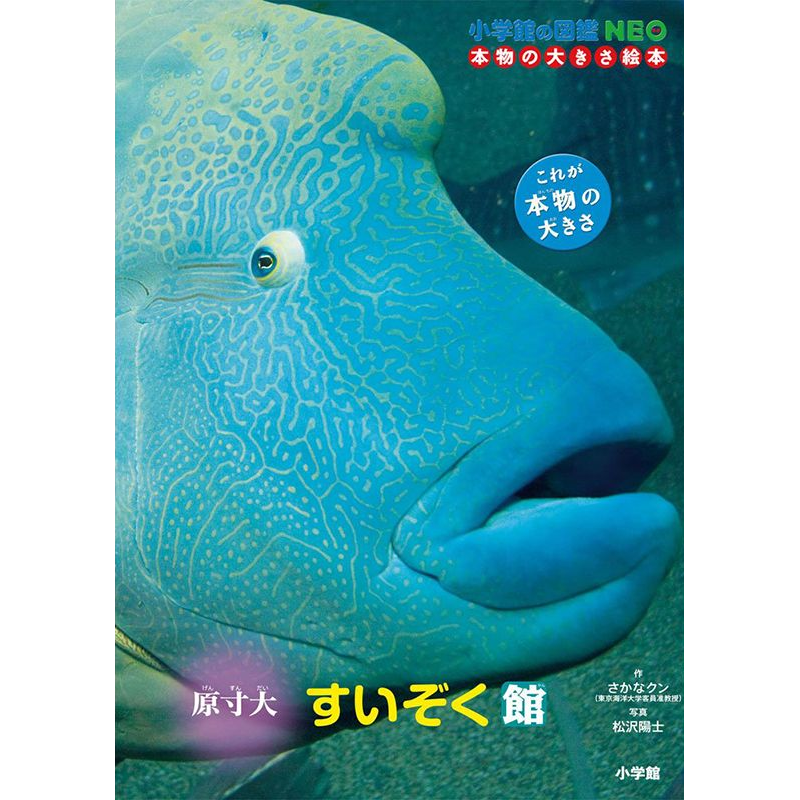 小学館の図鑑NEO 本物の大きさ絵本　原寸大　すいぞく館