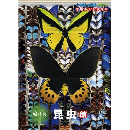 小学館の図鑑NEO 本物の大きさ絵本　原寸大昆虫館