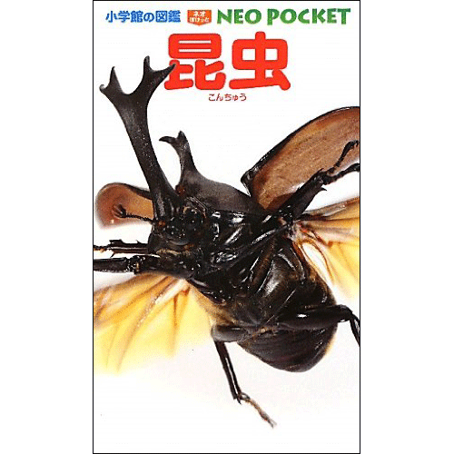 小学館の図鑑NEO POCKET -ネオぽけっと- 昆虫