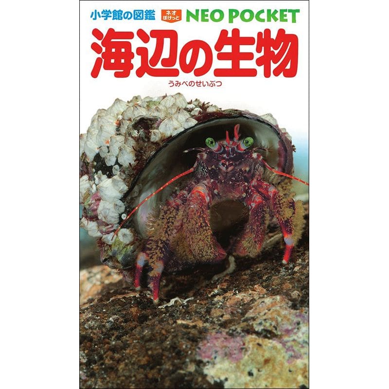 小学館の図鑑NEO POCKET -ネオぽけっと- 海辺の生物