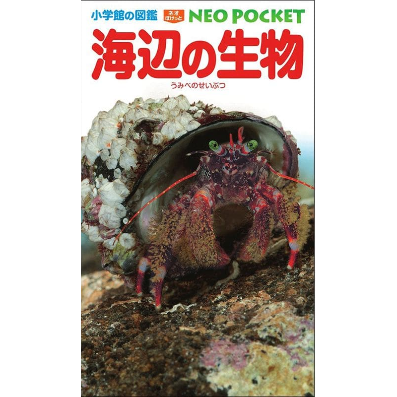 小学館の図鑑NEO POCKET -ネオぽけっと- 海辺の生物