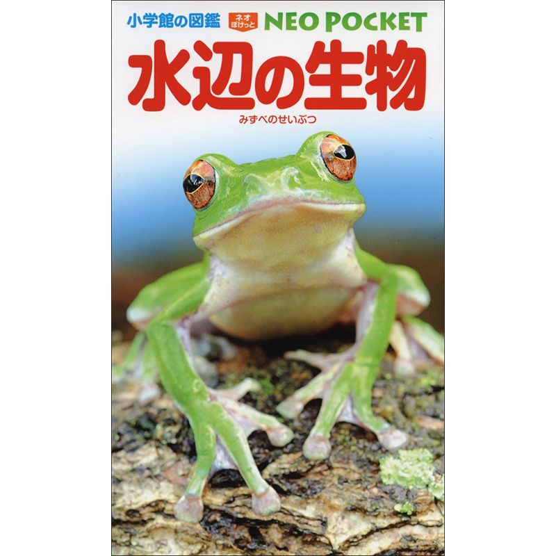 小学館の図鑑NEO POCKET -ネオぽけっと-水辺の生物