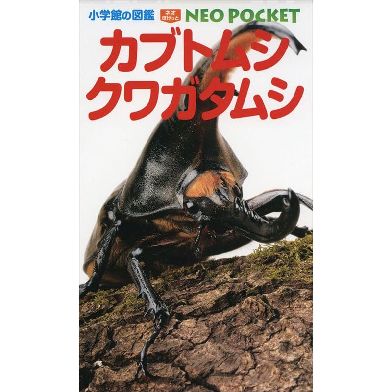 小学館の図鑑NEO POCKET　カブトムシ・クワガタムシ