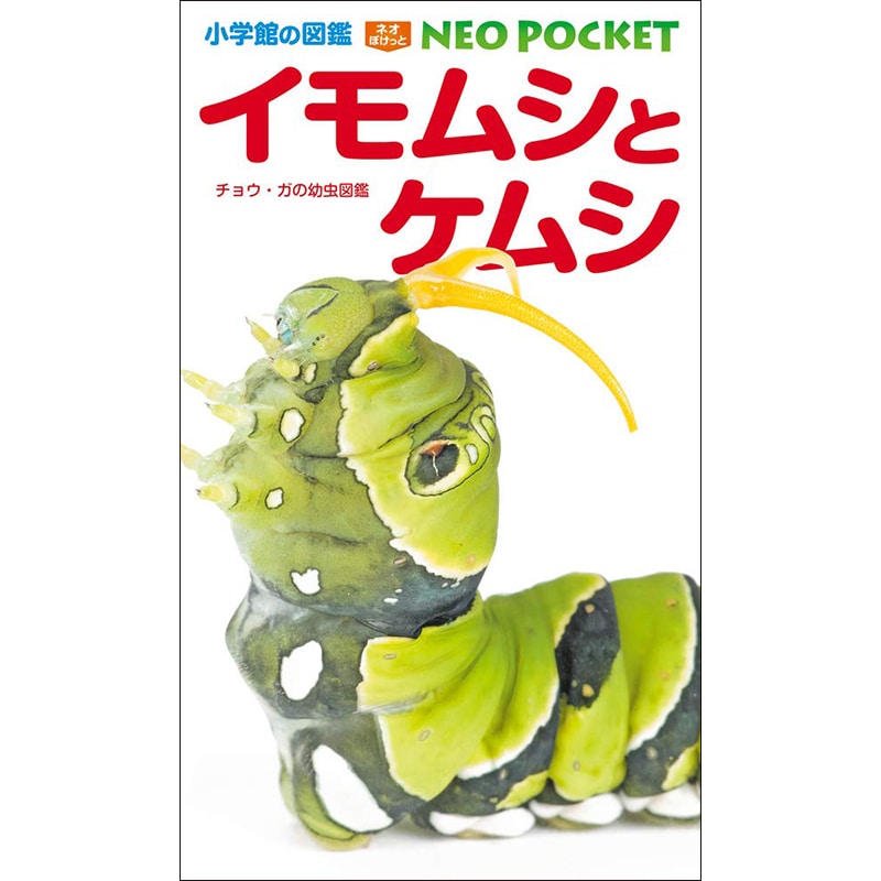 小学館の図鑑NEO POCKET　イモムシとケムシ