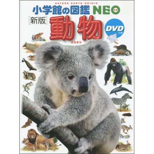 小学館の図鑑NEO［新版］動物 DVDつき