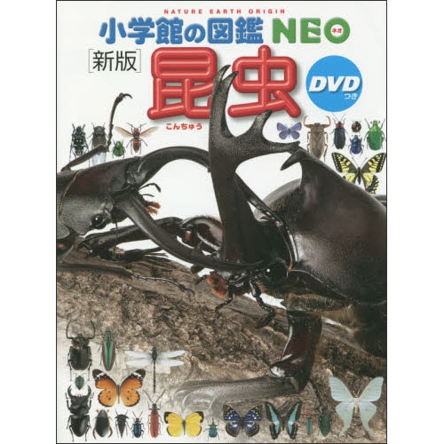 小学館の図鑑NEO［新版］昆虫 ＤＶＤつき