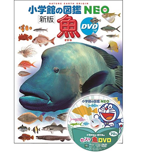 小学館の図鑑NEO〔新版〕魚 ＤＶＤつき