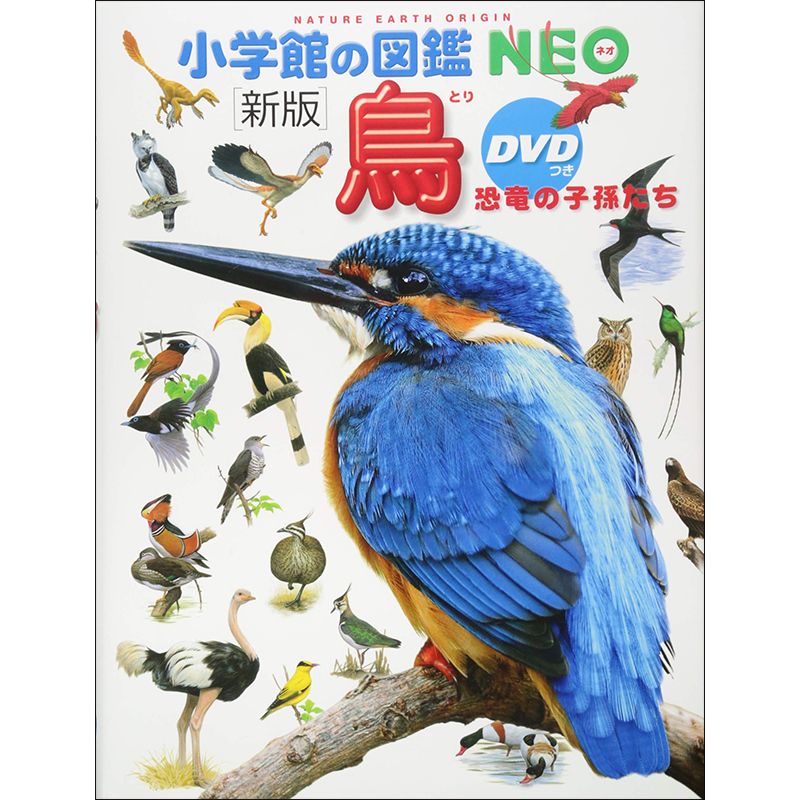 小学館の図鑑NEO［新版］ 鳥 DVDつき