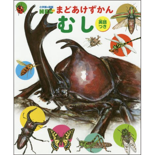 小学館の図鑑NEO まどあけずかん むし