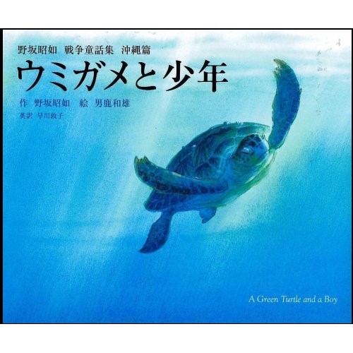 ウミガメと少年