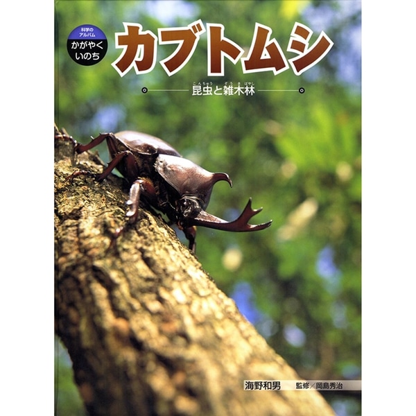 カブトムシ　昆虫と雑木林 科学のアルバム・かがやくいのち (1)