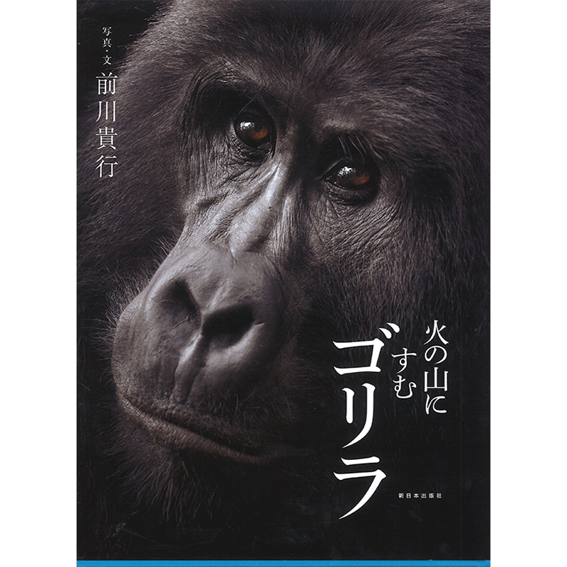火の山にすむゴリラ