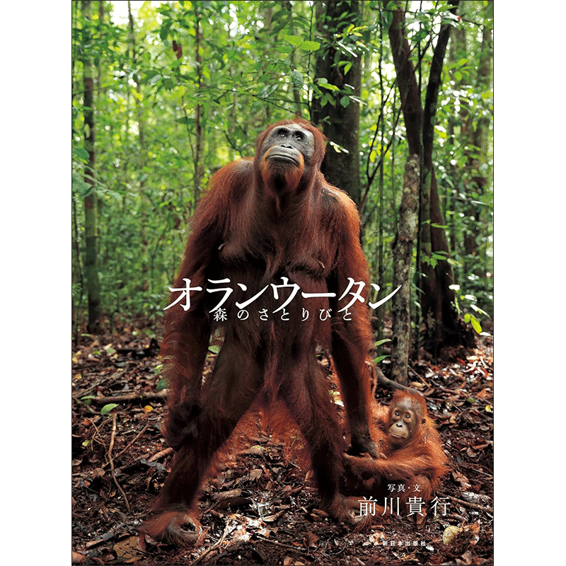 オランウータン 森のさとりびと