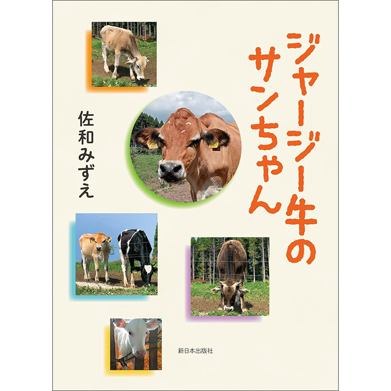 ジャージー牛のサンちゃん